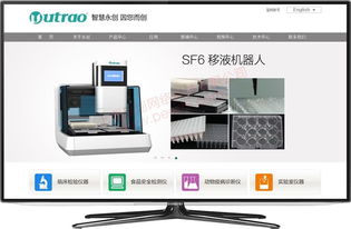 松江網(wǎng)站建設(shè)服務(wù)全解析 從設(shè)計(jì)到開發(fā)一站式解決方案