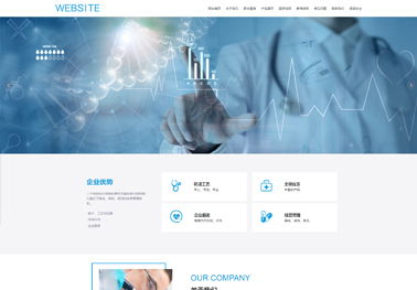 西安網(wǎng)站建設(shè)技術(shù)服務(wù) 打造數(shù)字化時(shí)代的核心競(jìng)爭(zhēng)力